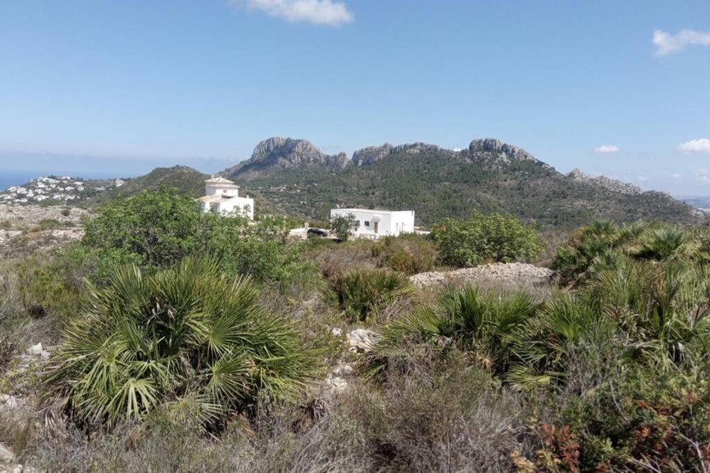 El Sol Blanco Villa Rafol de Almunia Luaran gambar